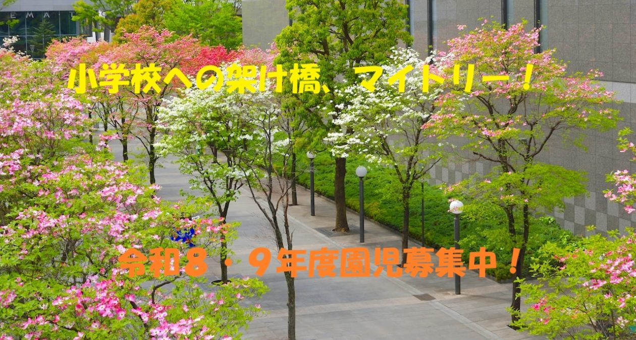 ２歳児・保育園対象児大歓迎！ 入園・入所はいつでも受け付けております！遠慮なくご参観ご相談下さい！<(_ _)>